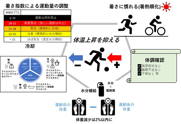 体温上昇を抑える